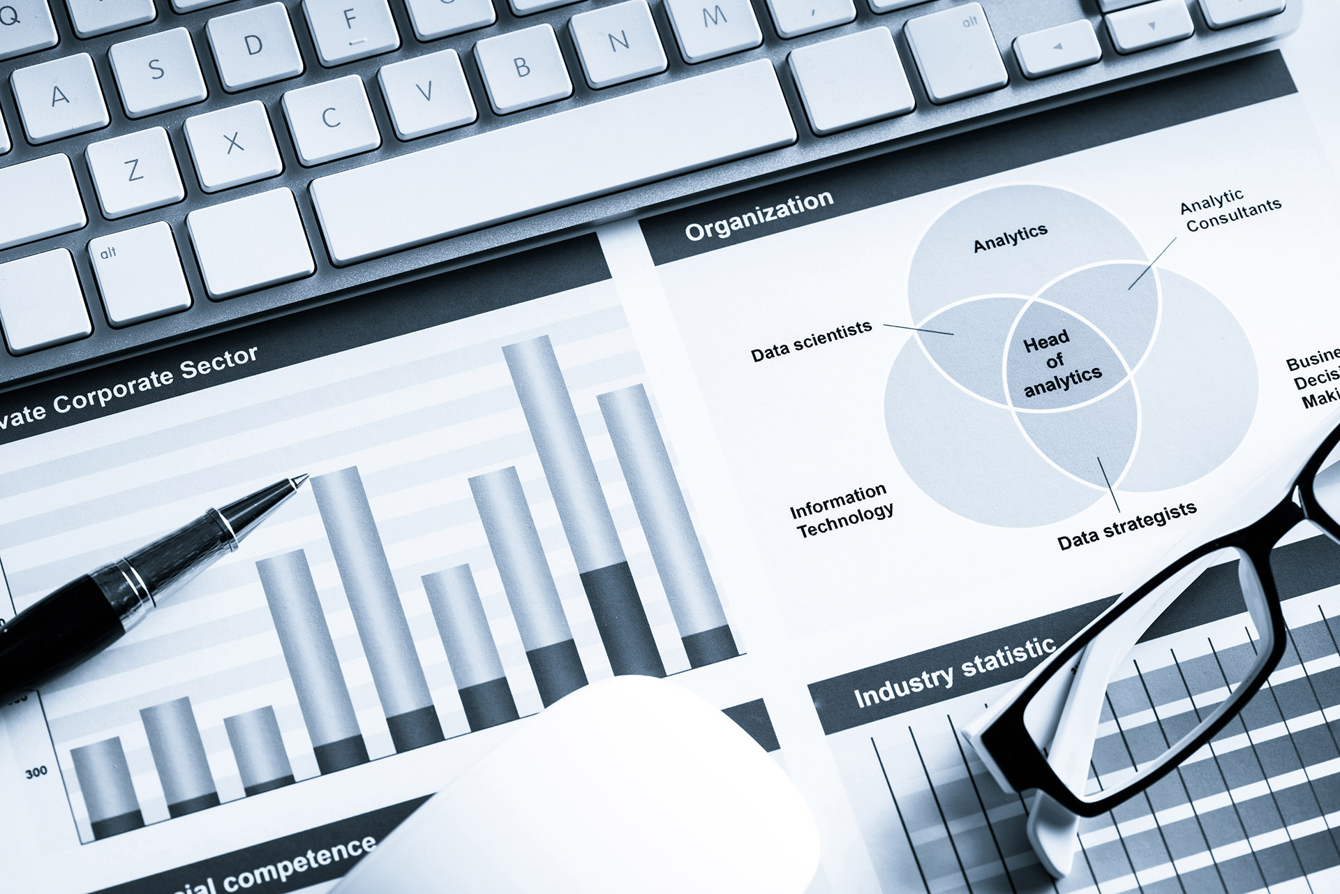 Business Intelligence Services