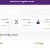 MSM Performance Managment System