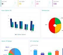 EA Performance Mgmt System